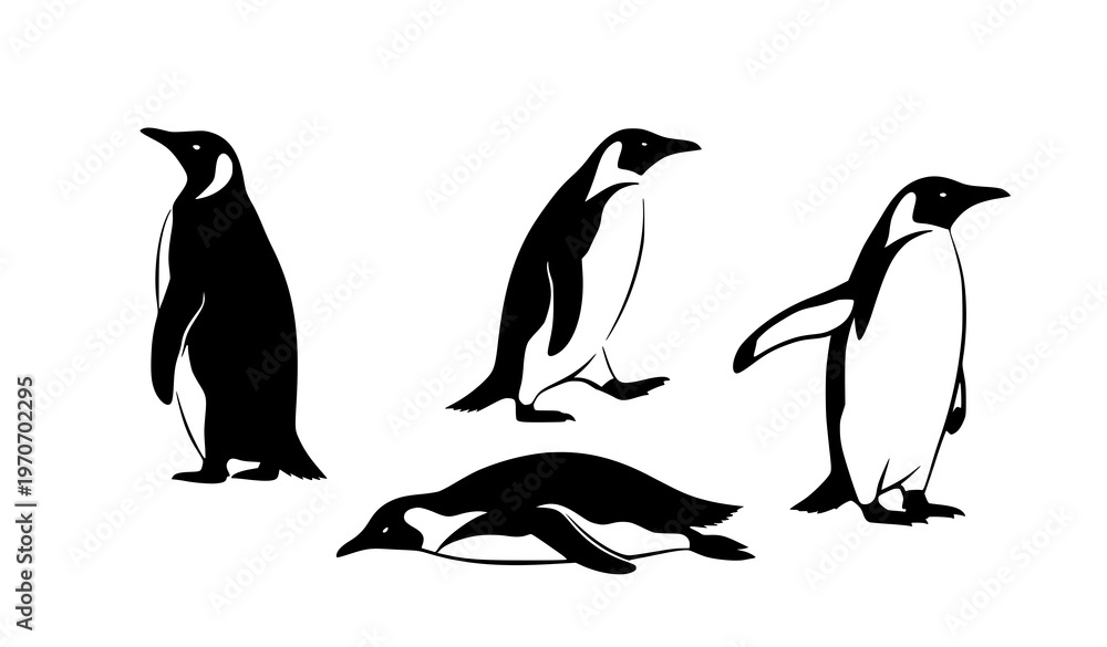 Fototapeta premium Penguin silhouettes vector collection – various poses