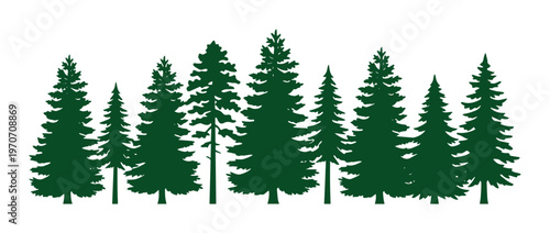 Dark green pine tree silhouettes, coniferous forest vector border, evergreen spruce and fir woodland landscape, minimalist nature background