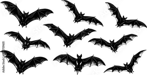 Set of eight stylized bat silhouettes in flight, black-and-white icons representing nocturnal animals and Halloween themes.