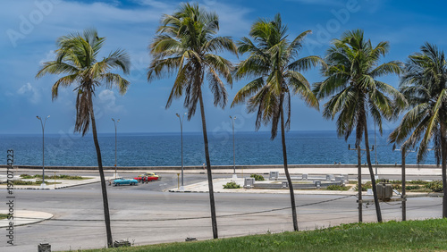 Malecon embankment by the ocean. Retro cars are parked on the asphalt road. Silhouettes of people nearby. Street lights. Palm trees against the blue sky in the foreground. A green lawn. Cuba. Havana.