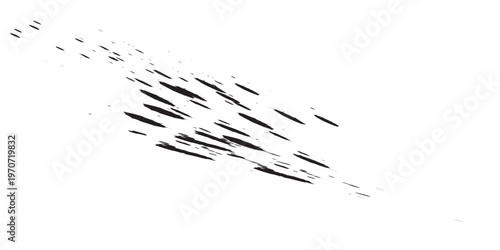 A school of small fish swimming in unison creating a dynamic pattern.