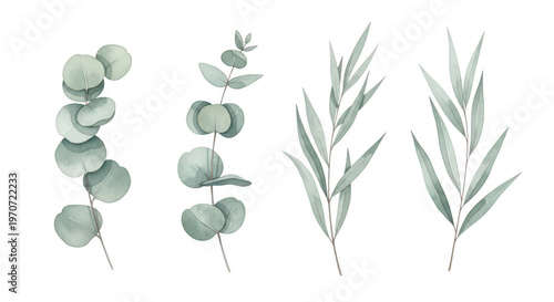 Collection of watercolor green leaf stems and eucalyptus branches for botanical design