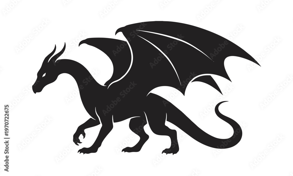 Fototapeta premium dragon silhouette