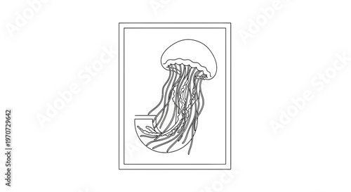 Jellyfish Outline Drawing, Sea Creature, Marine Life, Underwater Animal Illustration