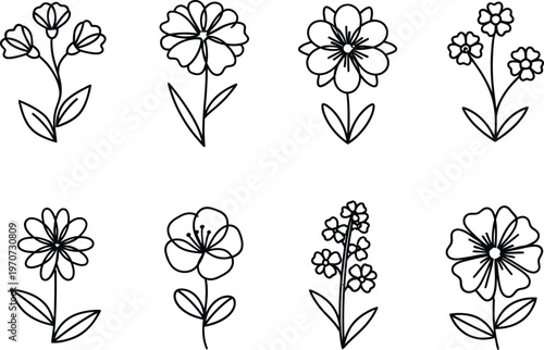 Collection of simple line art floral illustrations delicate hand-drawn flowers and plants for botanical design isolated on white background