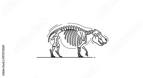 Hippopotamus skeleton illustration, side view, black and white line art, educational drawing