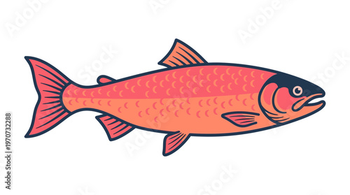 Simple flat vector of a salmon fish with clean cut lines, fresh seafood concept, minimal style, limited color palette, smooth outline