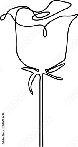 Minimalist Continuous Line Illustration of Rose Flower Representing Love Nature and Abstract Elegance Concept