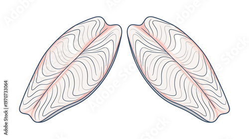 Simple flat vector of two fish fillet slices arranged symmetrically, fresh seafood concept, minimal style, clean outline, limited color palette