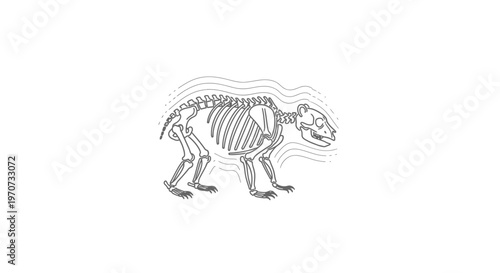 Fossilized Skeleton of a Prehistoric Mammal, Ancient Animal Remains, Paleontology Discovery