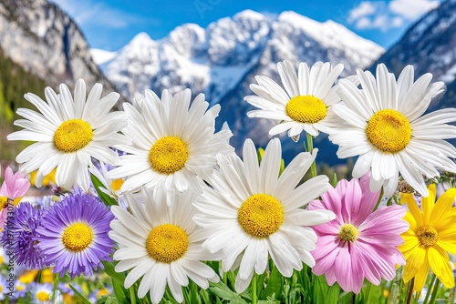 field of daisies