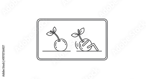 Cherry seedling growth and struggle, concept of new life and overcoming challenges