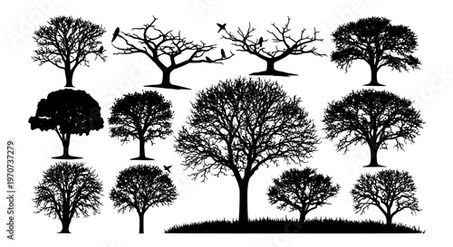 tree, trees, silhouette, nature, forest, bird, birds, branch, branches, black, shadow, shape, plant, foliage, woodland, natural, environment, collection, set, isolated, white, vector, illustration, de