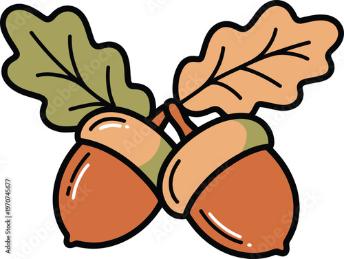 Two ripe acorns with textured caps and green lobed oak leaves, colorful illustration, white background