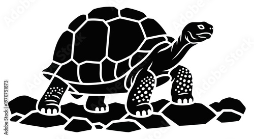 Black and white silhouette of a tortoise walking on rocks.