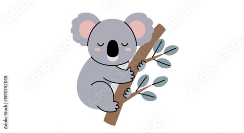 Cute Koala Bear Sleeping Peacefully on a Eucalyptus Tree Branch.