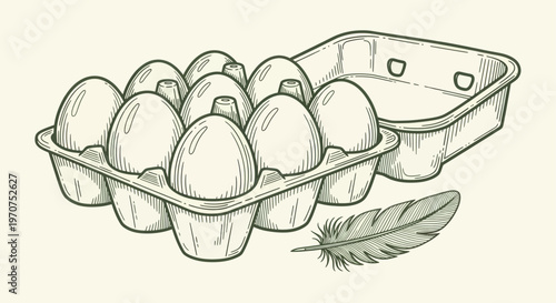 Hand-drawn sketch of a carton of eggs with a feather, illustrating farm fresh produce.