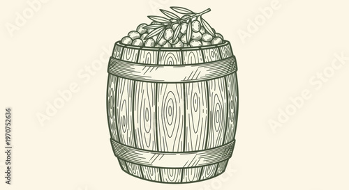 Hand-drawn sketch of a wooden barrel overflowing with fresh olives and leafy branches.