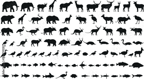 Wild animals, birds, and fish silhouette collection, black vector clipart, nature wildlife icons, jungle and aquatic species, forest animals illustration