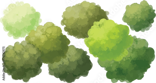 Watercolor green bushes and shrubbery collection, hand painted garden foliage vector set, organic round tree crown elements for landscape design