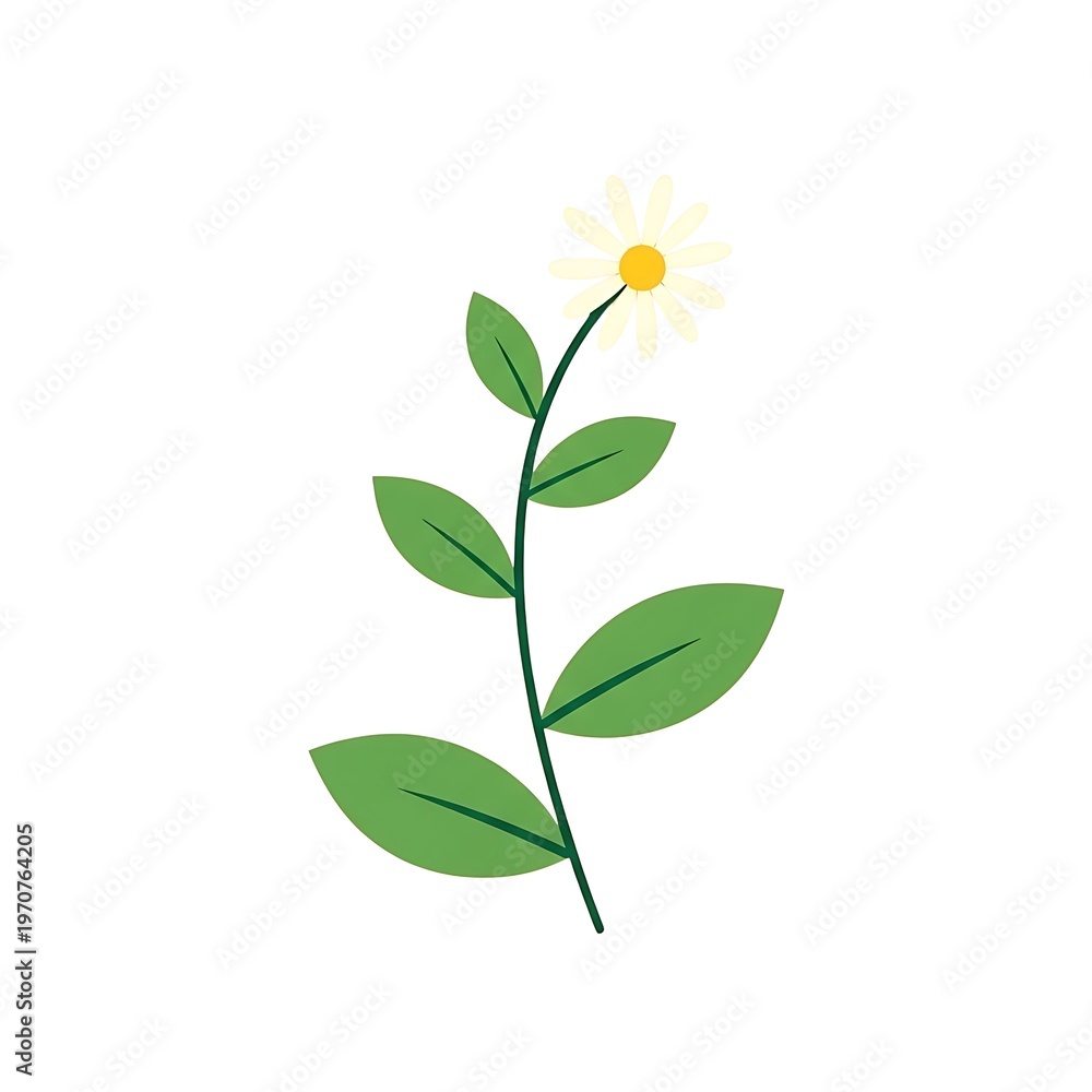 Obraz premium Fresh green plant with single yellow blossom isolated