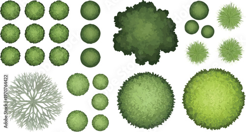 Landscape architecture tree symbols in top view, green garden plant icons for site planning, 22 vector elements for architectural mapping