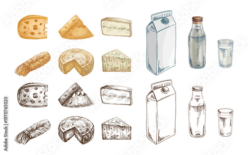 Hand drawn vintage sketch cheese and milk dairy set with slices wedge block carton bottle glass color monochrome