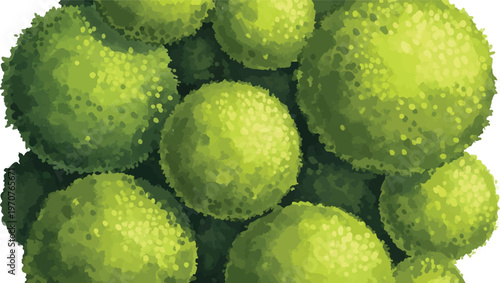 Lush green topiary bushes vector, round garden shrubs with textured foliage, organic spherical hedge plants for landscape design and park mapping