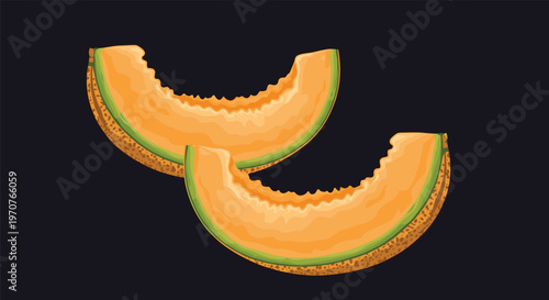 Two ripe cantaloupe melon slices with orange flesh and green rinds isolated on a dark background for food design.