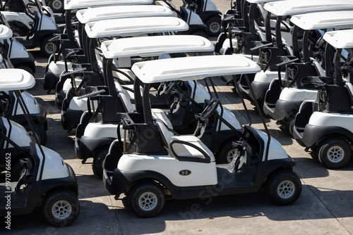 Bild auf Leinwand Rows of identical golf carts lined up on sunny gravel lot