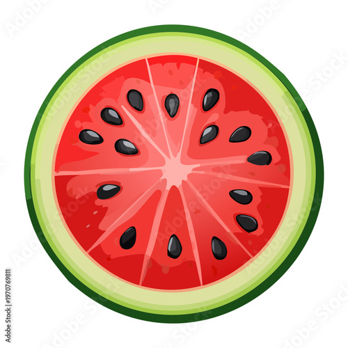 Vibrant round watermelon slice showing juicy red pulp and dark seeds for seasonal fruit concept art - Vector Illustration