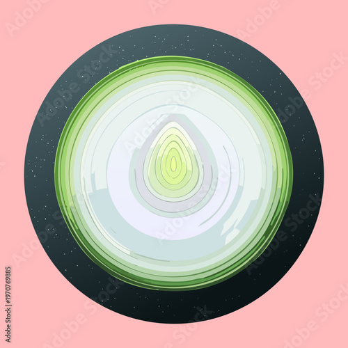 Round cabbage vegetable with detailed green layers for vegetarian diet and healthy lifestyle visual content - Vector Illustration