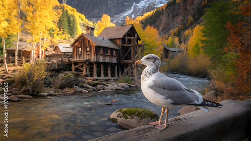 Autumn in Crystal Mill, Colorado Landscape, A young seagull is sitting on a wooden hut.