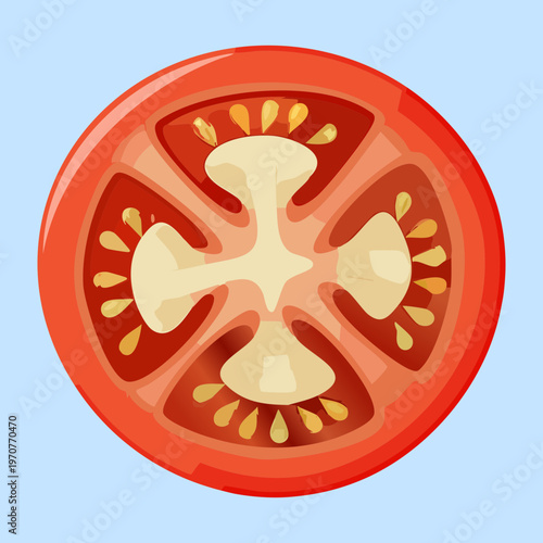 Sliced red tomato piece showing inner seeds and pulp for culinary projects and fresh organic vegetable symbols - Vector Illustration