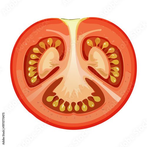 Organic ripe tomato slice with vibrant red color for healthy meal prep and fresh garden vegetable illustrations - Vector Illustration