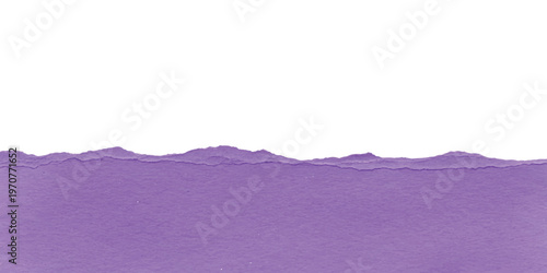A horizontal strip of bright purple construction paper with a rough torn edge positioned against a plain white background