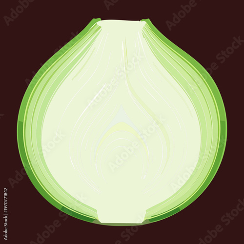 Half of a fresh green onion showing internal layers for healthy vegetable cooking and organic farming product display - Vector Illustration