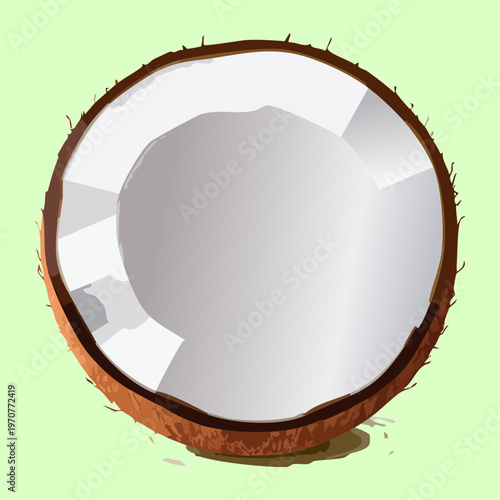 Half of a ripe coconut for healthy tropical smoothies and organic fruit snack recipes for healthy lifestyle menu - Vector Illustration