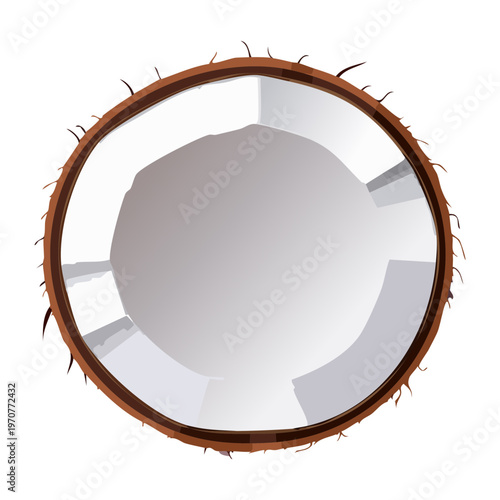 Half of a fresh coconut showing white meat and shell for healthy tropical snack and organic food product - Vector Illustration