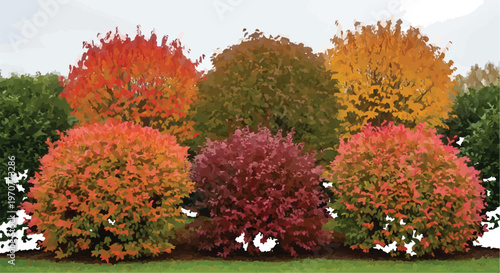 Autumn trees and bushes with vibrant fall foliage, colorful garden shrubbery in red orange and yellow, seasonal landscape vector illustration