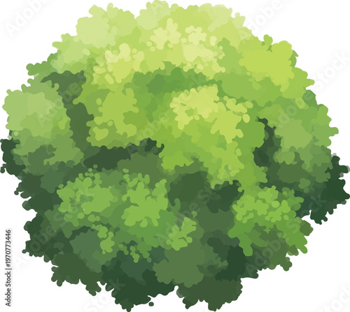 Lush green tree crown vector, top view of a leafy garden bush, aerial perspective of summer forest foliage for landscape design and site plans