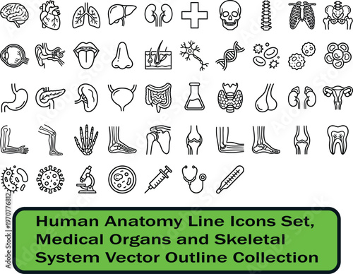 Human Anatomy Line Icons Set, Medical Organs and Skeletal System Vector Outline Collection