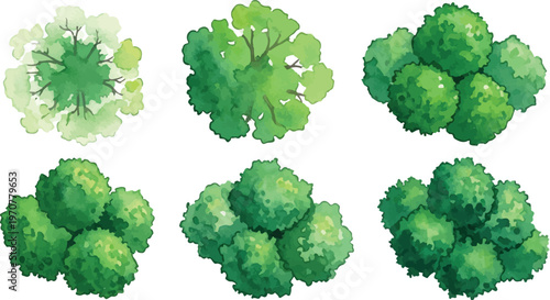 Watercolor tree top view collection, 6 green plant icons for landscape architecture, aerial garden bushes and forest canopy vector elements