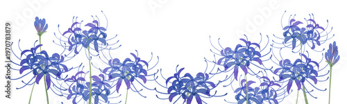 Photos Watercolor Blue Spider Lily Higanbana Clipart frame Set
