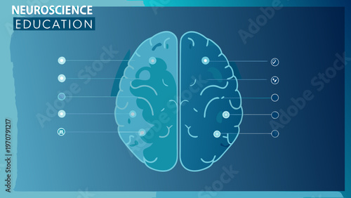 Neuroscience education illustration of a brain divided into sections on a blue background with lines and symbols