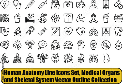Human Anatomy Line Icons Set, Medical Organs and Skeletal System Vector Outline Collection