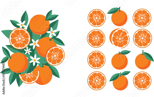 Orange Fruit Composition with Leaves and Blossoms Featuring Whole Oranges and Slice Variations Fresh Citrus Vector Collection