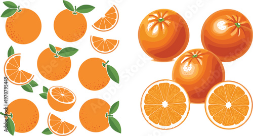 Orange Fruit Vector Set Featuring Whole Oranges Leaves and Multiple Slice Variations with Detailed Citrus Illustration Collection Isolated