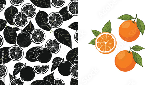 Orange Fruit Pattern and Illustration Set Featuring Seamless Black Citrus Pattern and Colored Whole Oranges with Leaves Vector Design