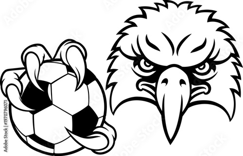 An eagle or hawk or falcon soccer football bald eagles mascot